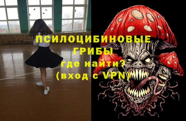 дживик Вязьма