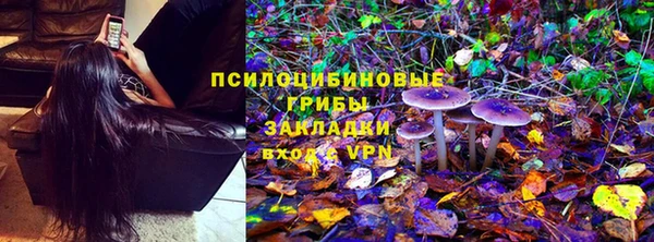 дживик Вязьма
