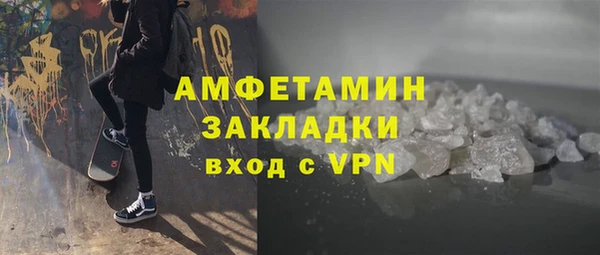 индика Вяземский