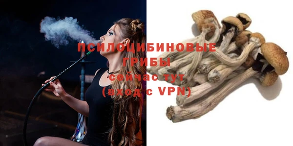 индика Вяземский