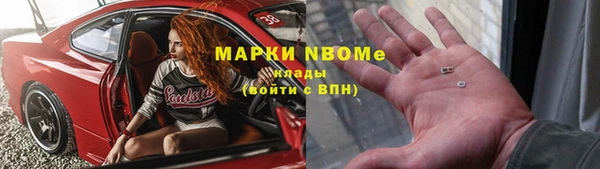 индика Вяземский