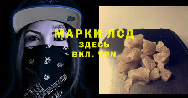 индика Вяземский
