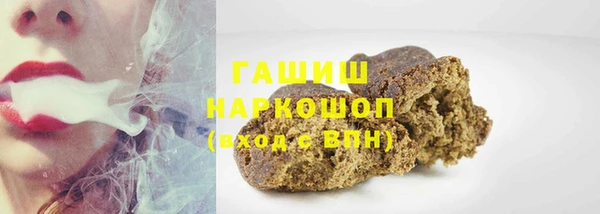 индика Вяземский