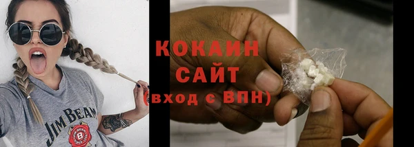 индика Вяземский
