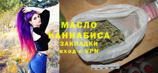 индика Вяземский