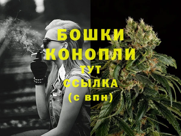 индика Вяземский