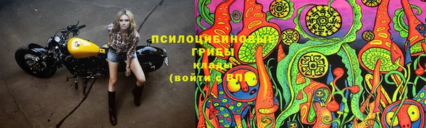 дживик Вязьма