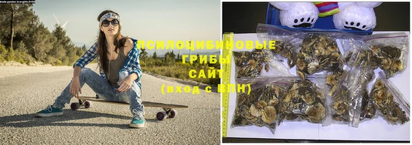 индика Вяземский