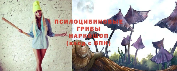дживик Вязьма