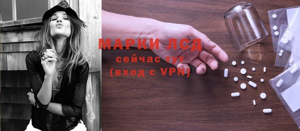 индика Вяземский