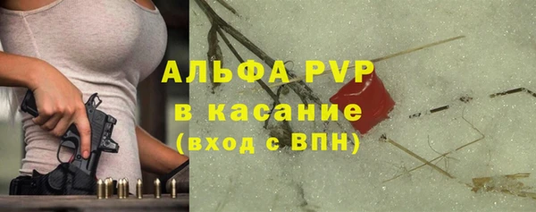 индика Вяземский