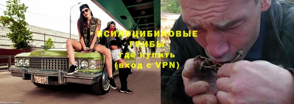 дживик Вязьма
